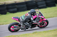 PJ-Motorsport-2019;anglesey-no-limits-trackday;anglesey-photographs;anglesey-trackday-photographs;enduro-digital-images;event-digital-images;eventdigitalimages;no-limits-trackdays;peter-wileman-photography;racing-digital-images;trac-mon;trackday-digital-images;trackday-photos;ty-croes